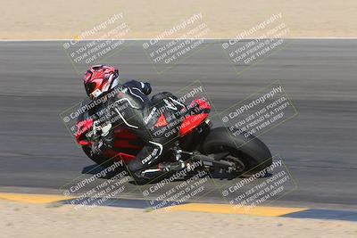 media/Nov-11-2023-SoCal Trackdays (Sat) [[efd63766ff]]/Turn 10 Inside (120pm)/